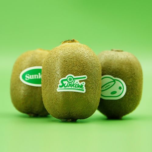 眉縣大氣農(nóng)場(chǎng) 數(shù)字獼猴桃專業(yè)合作社以集約化管理推動(dòng)品牌分紅與銷售升級(jí)