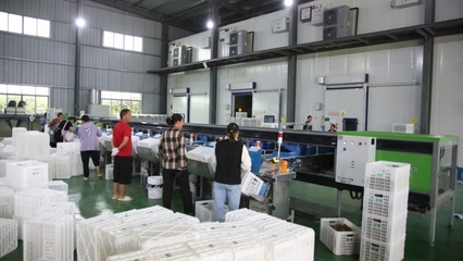 修文縣首個(gè)即食獼猴桃加工中心建成投用，開啟獼猴桃產(chǎn)業(yè)發(fā)展新篇章